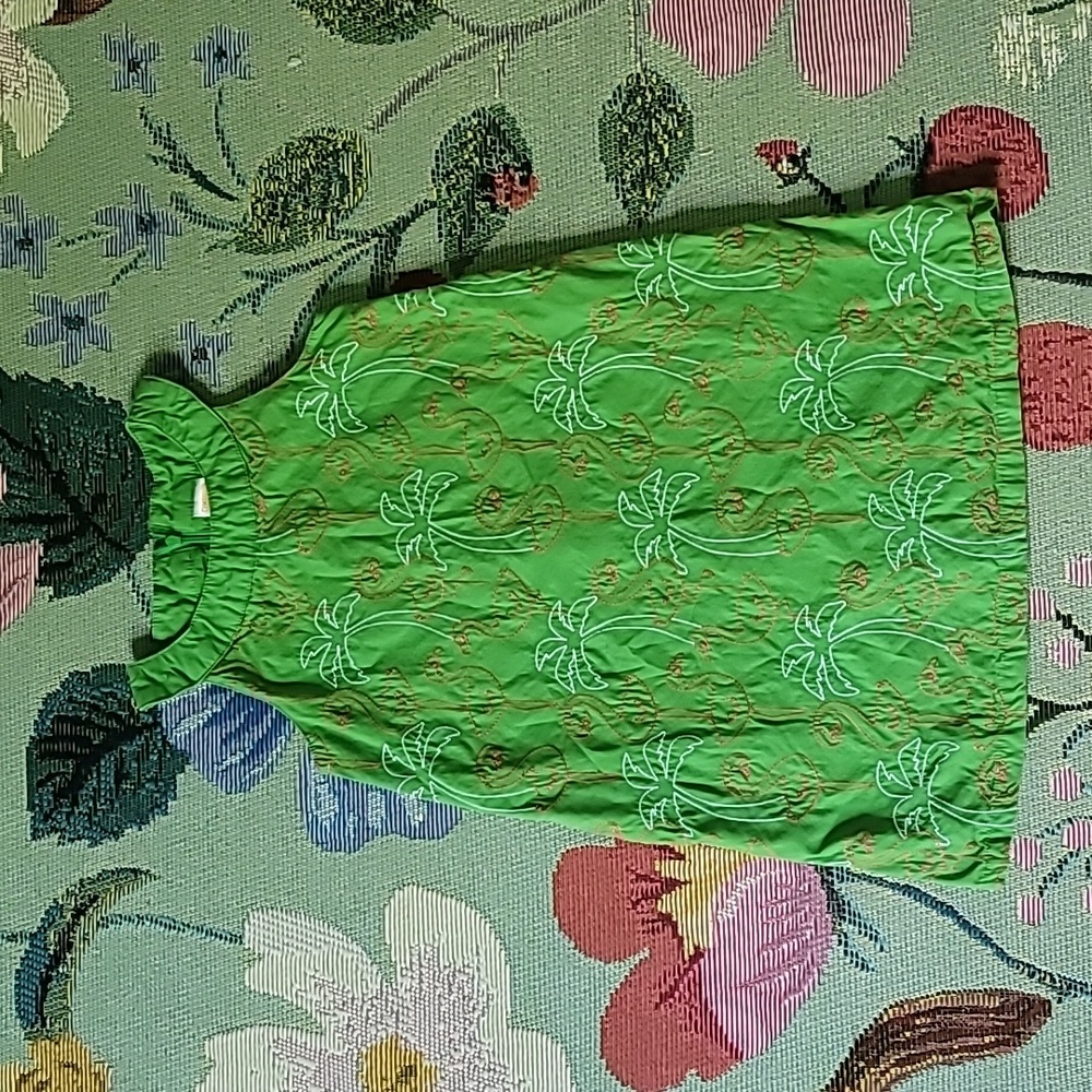 Gymboree size 5 flamingo green dress